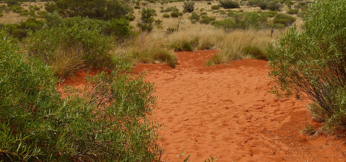 Australian Outback