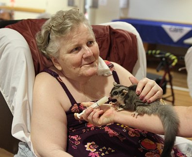 Cheryl Slater petting Reba Brushtail Possum